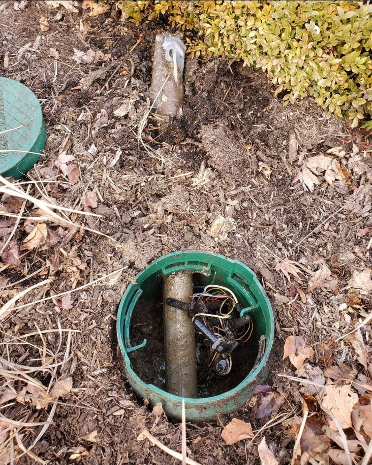 Irrigation valve box and buried zone line installed in a mulched landscape bed